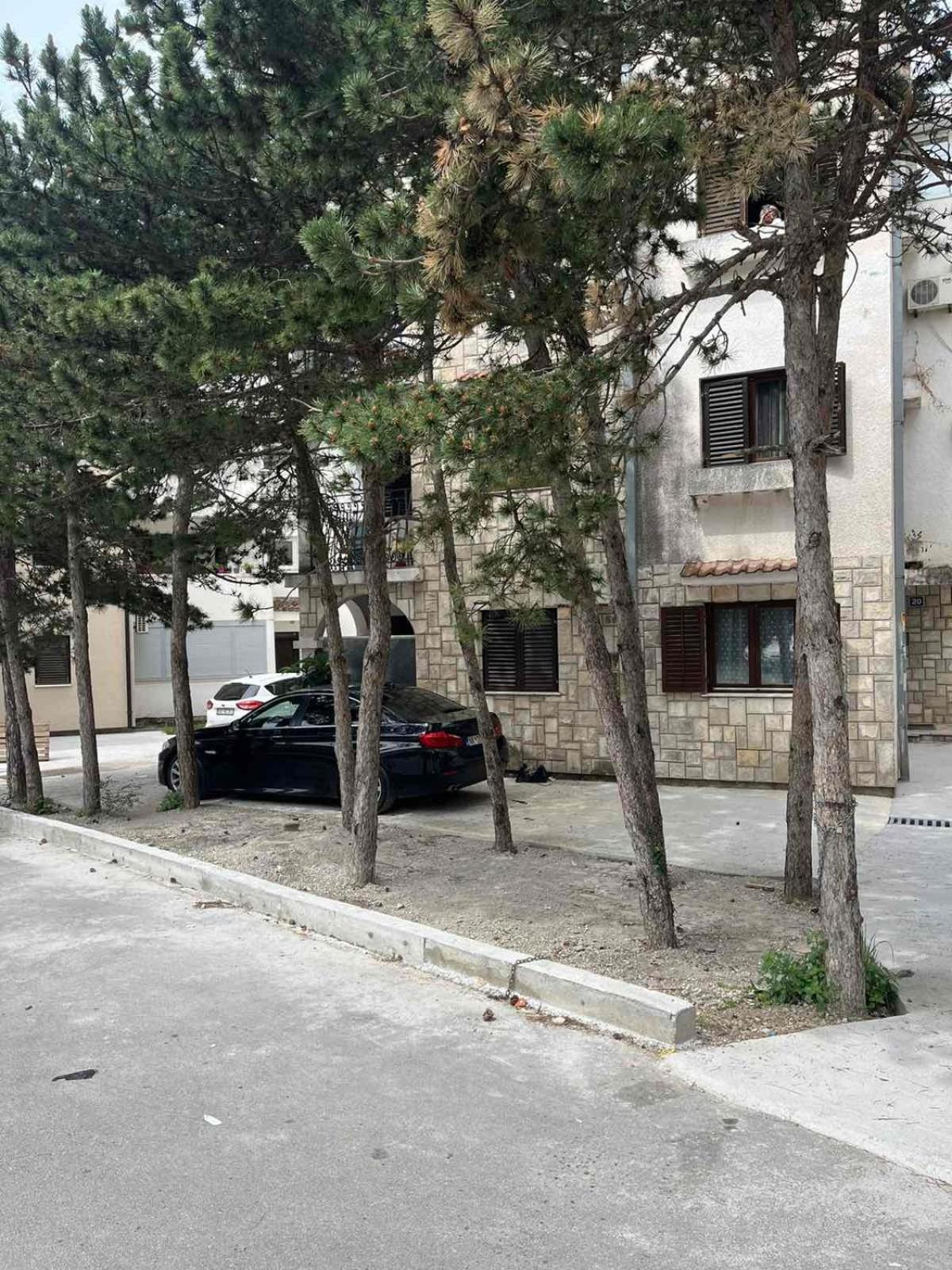Tisa Apartment